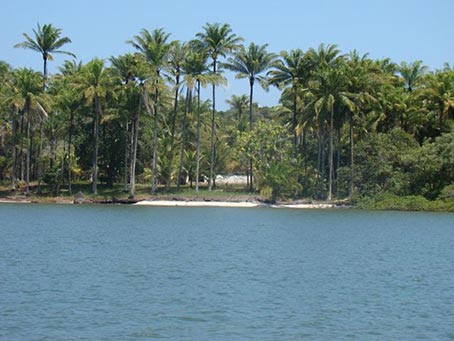 Ilha Próxima à Península de Camamu
