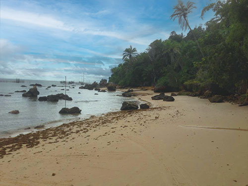 Amplo Terreno à Beira-Mar com Vista para o Mar na Praia da Ponta da Pedra