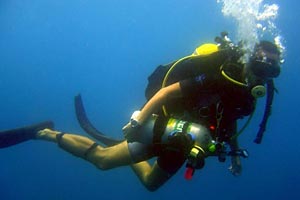 Scuba Diving Busca Vida