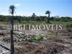 Lot 5000 to 20000m2 in Caraiva 7