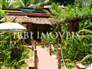 House for hostel or restaurants 1