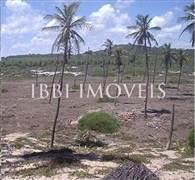 Land with 14.9 Hectares 5