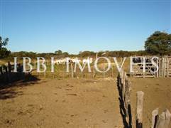 Farm of 2,500 Hectares 3