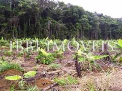 Fazenda de 415 hectares em Camamú 3