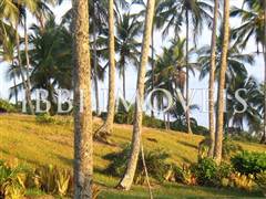 10 Hectares Beira-Mar 2