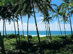 10 Hectares Beira-Mar 3