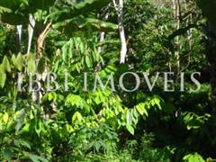 Farm with 32 hectares in Una in Bahia 4