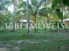 Terrenos 1000m2 - Quarta Praia 7
