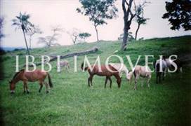 Excellent cattle farm with 663hectares only 280 km from Salvador 5