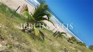 Large Land With Coconut Trees 9