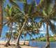 Beira Mar Apartment With Private Garden 14