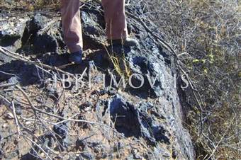 Arrendamento De Mina De Manganês 