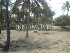 Beautiful 3,000m² site Foot In The Sand With Wide Area In Mogiquiçaba 12