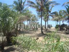 Beautiful 3,000m² site Foot In The Sand With Wide Area In Mogiquiçaba 2