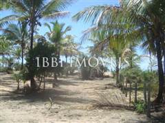 Beautiful 3,000m² site Foot In The Sand With Wide Area In Mogiquiçaba 3