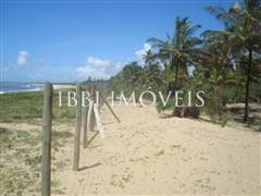 Beautiful 3,000m² site Foot In The Sand With Wide Area In Mogiquiçaba 6