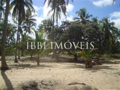 Beautiful 3,000m² site Foot In The Sand With Wide Area In Mogiquiçaba 8