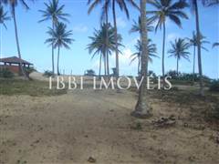 Beautiful 3,000m² site Foot In The Sand With Wide Area In Mogiquiçaba 9