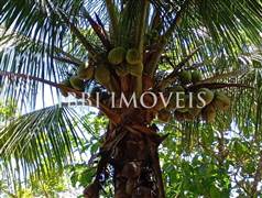 Casa 02 Pavimentos Com 05 Quartos 3