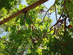 Casa 02 Pavimentos Com 05 Quartos 4