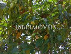 Casa 02 Pavimentos Com 05 Quartos 11