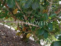 Casa 02 Pavimentos Com 05 Quartos 12