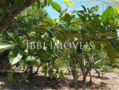 Casa 02 Pavimentos Com 05 Quartos 9