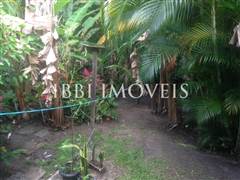 House 200M From The Sea Beach At Gamboa 10
