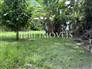 House on a plot of 480m² 4th Beach 6