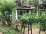 House for hostel or restaurants 5