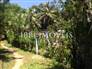 House for hostel or restaurants 11