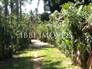House for hostel or restaurants 12