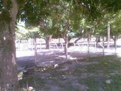 Sítio Com 18.000M2 Em Esplanada Bahia 1