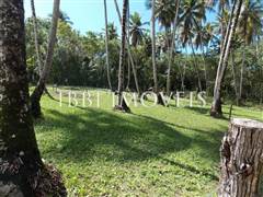 Excellent Land 150M From The Sea 11