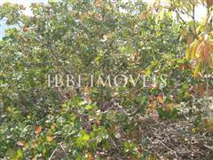 Excellent plot of land measuring 3,000 m².  15