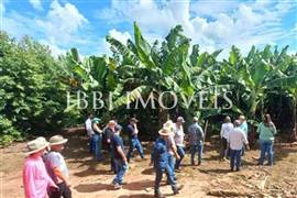 Fazenda De Cacau Oportunidade 6