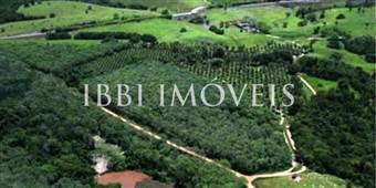 Fazenda De Cacau Sul Da Bhaia  6