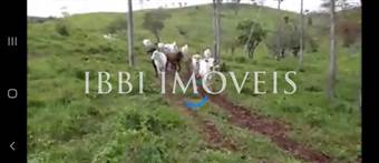 Fazenda De Pasto Para Gado  12