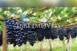 Fazenda De Pedras Precisosas E Ferro 5