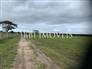 Fazenda Eucalipto 9,6 H 2