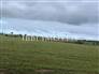 Fazenda Eucalipto 9,6 H 3