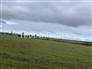 Fazenda Eucalipto 9,6 H 4