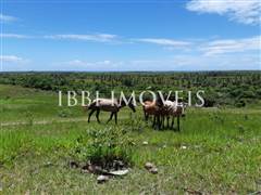 Spectacular 10Ha Sea View Farm 3