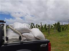 Spectacular 10Ha Sea View Farm 4
