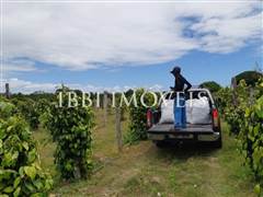 Spectacular 10Ha Sea View Farm 5