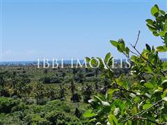 Spectacular 10Ha Sea View Farm 7