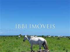 Spectacular 10Ha Sea View Farm 1