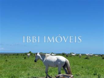 Spectacular 10Ha Sea View Farm 5
