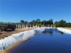 Spectacular 10Ha Sea View Farm 6