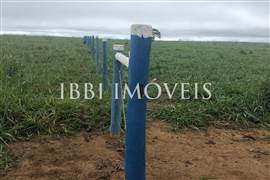 Fazenda Pecuária 1.500 Cabeças Gado 3